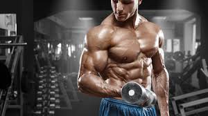 entrenamiento muscular